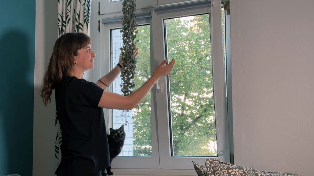 As janelas alemães são especiais